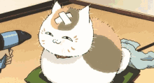 Natsume Surprised GIF