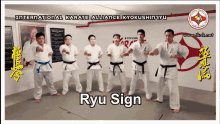Ryu Sign Sign GIF - Ryu Sign Sign Signature GIFs