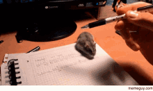 Mouse In Office GIF