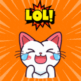 Lol Cat Lol GIF - Lol Cat Lol Kitty Lol GIFs