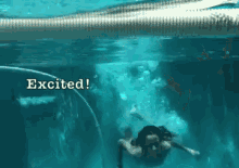 Excited  GIF - Underwater Excited Swimming GIFs