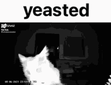 Yeasted GIF - Yeasted Yeast GIFs