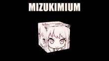 mizuki mizukimium