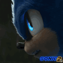 Angry Sonic GIF - Angry Sonic Sonic The Hedgehog2 GIFs