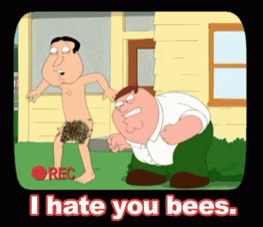 hate-you-bees-family-guy.gif