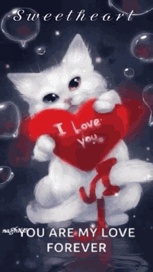 you are my love love you always cat i love you