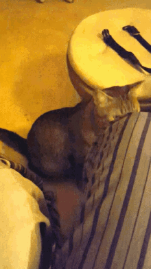 a cat is laying on a bed next to a table