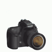 Photographer Camera GIF - Photographer Camera Photo GIFs