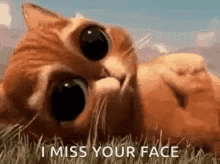 So Cute Puss In Boots GIF - So Cute Puss In Boots Miss Your Face GIFs