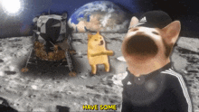 a doge wearing a black adidas hat is standing on the moon