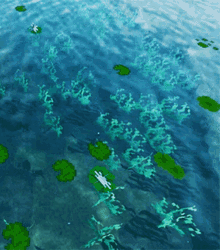 Minecraft Ocean GIF - Minecraft Ocean Clear Water GIFs