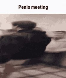 Penis Meeting Goodrainymorning GIF - Penis Meeting Meeting Goodrainymorning GIFs
