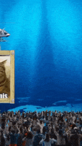 a helicopter is flying over a crowd of people with a picture of a cat on a wall that says tennis