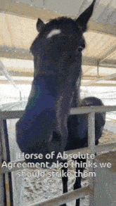 a horse behind a fence with the words horse of absolute greenment also thinks we should strike them