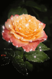 Rose571 Roses Glitter GIF - Rose571 Roses Glitter Favrose57 GIFs