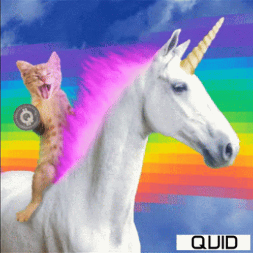 Quid Quidika GIF - Quid Quidika Quidverse GIFs