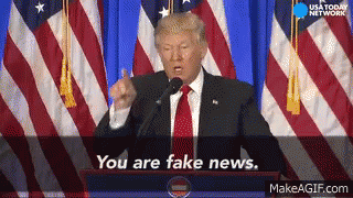 You Are Fake News - Fake News GIF - Fake News News Donald GIFs