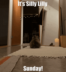 a cat laying on a rug with the words it 's silly lilly sunday on the bottom