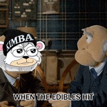 two stuffed animals are sitting next to each other with the words " when the edibles hit " below them