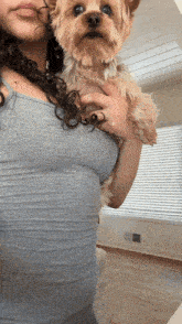 a woman in a grey tank top holds a small dog