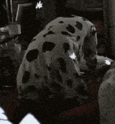 a person in a dalmatian costume is kneeling down on a bed