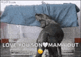 a dog standing under a blue blanket with the words love you son mama out above it