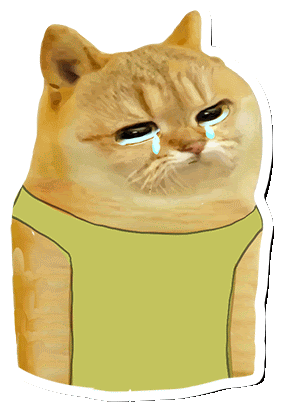 Catcoin Cat Meme Sticker - Catcoin Cat Meme Cat Memes Stickers