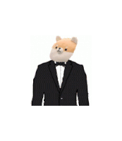 a stuffed animal wearing a tuxedo with a bow tie