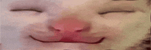 a close up of a white cat 's face with its eyes closed and a red nose .