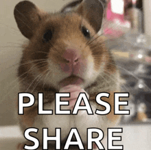 a picture of a hamster with the words please share written below it