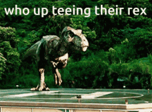 Trex Dinosaur GIF - Trex Dinosaur Awesome GIFs