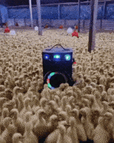 Duck Rave GIF - Duck Rave GIFs