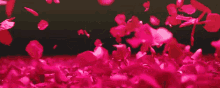 Imagenes De Flores GIF - Rose GIFs