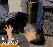 Puppy Kisses You Love It GIF - Puppy Kisses You Love It Slobber GIFs