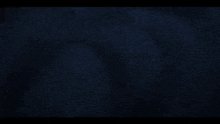 a cat is standing in the dark in a cave .