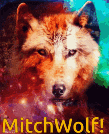 a painting of a wolf with the words mitchwolf written below it