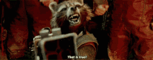 rocket raccoon from guardians of the galaxy is holding a gun and saying `` that is true ! ''