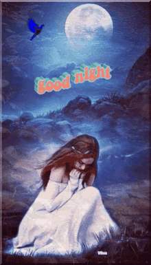 a woman in a white dress is kneeling in front of a full moon and the words good night