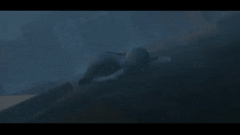 a dolphin is swimming in the dark waters of the ocean