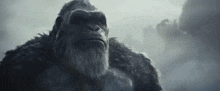 Godzilla Godzilla X Kong The New Empire GIF - Godzilla Godzilla X Kong The New Empire Kong GIFs
