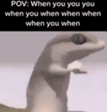 Funny Meme GIF - Funny Meme Lizard GIFs