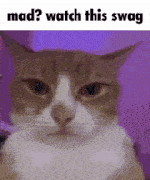Mad Swag GIF - Mad Swag GIFs