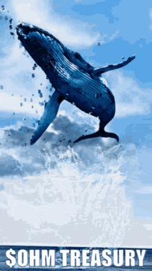 Ohm Treasury GIF - Ohm Treasury Whale GIFs