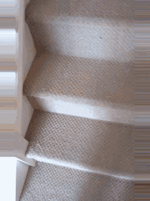 a close up of a staircase with white carpet