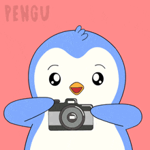 a penguin is holding a camera and the word pengu is on the bottom right