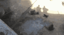 Baboon Attack Fight Baboon GIF - Baboon Attack Fight Baboon GIFs