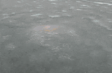 Great Pufferfish War Ice GIF - Great Pufferfish War Ice Breaking GIFs