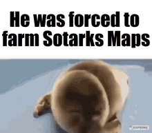 Sotarks Farm GIF