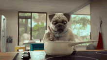 Pug Spag Dog Cooking GIF - Pug Spag Dog Cooking Dog Food GIFs