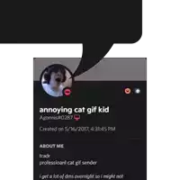 a screenshot of an annoying cat gif kid 's facebook page